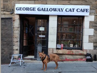 George Galloway Cat Cafe