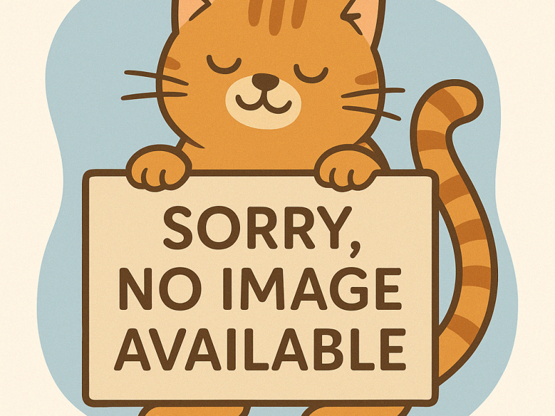 The Curious Cat Cafe