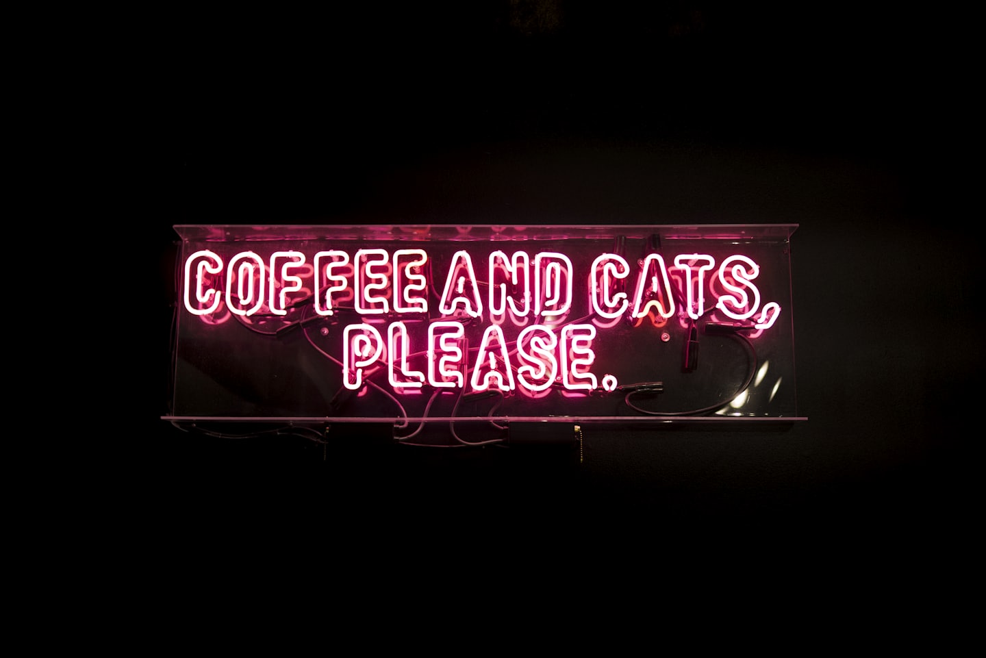 Cat Cafés - sign
