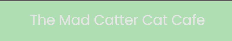 The Mad Catter Cat Cafe