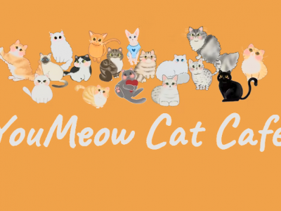 You Meow