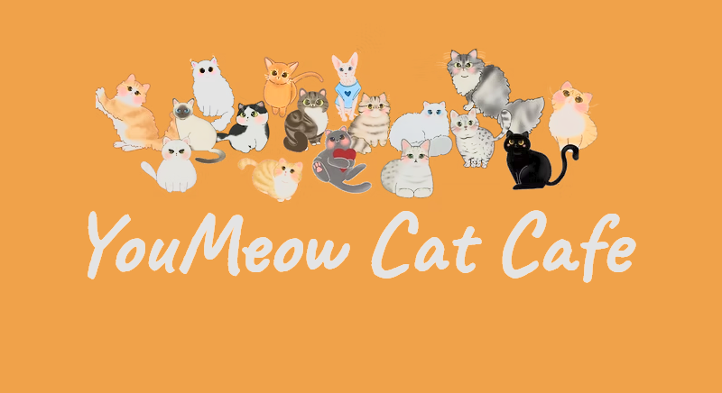 You Meow